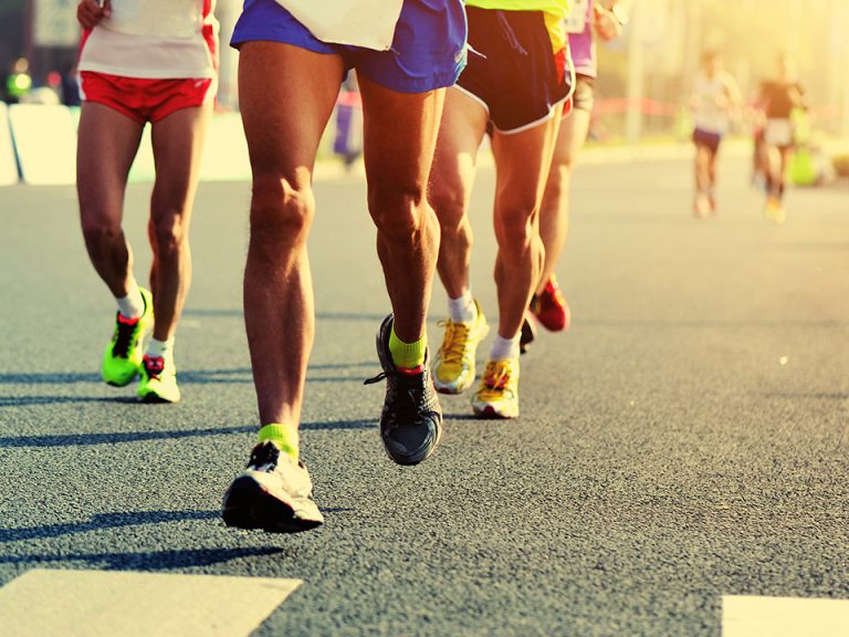 phlox half marathon race